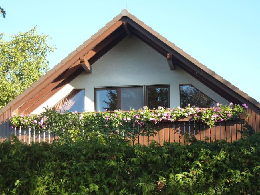 Ferienwohnung Am Stadtrand Von Berlin Neu Buch Exterior photo